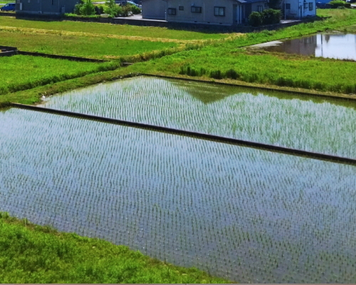 和歌山県,東牟婁郡,串本町,行政書士,書類作成,遺産分割,内容証明の作成,女性,行政書士事務所,相談,損害賠償請求,会社設立,障碍者支援,高齢者支援